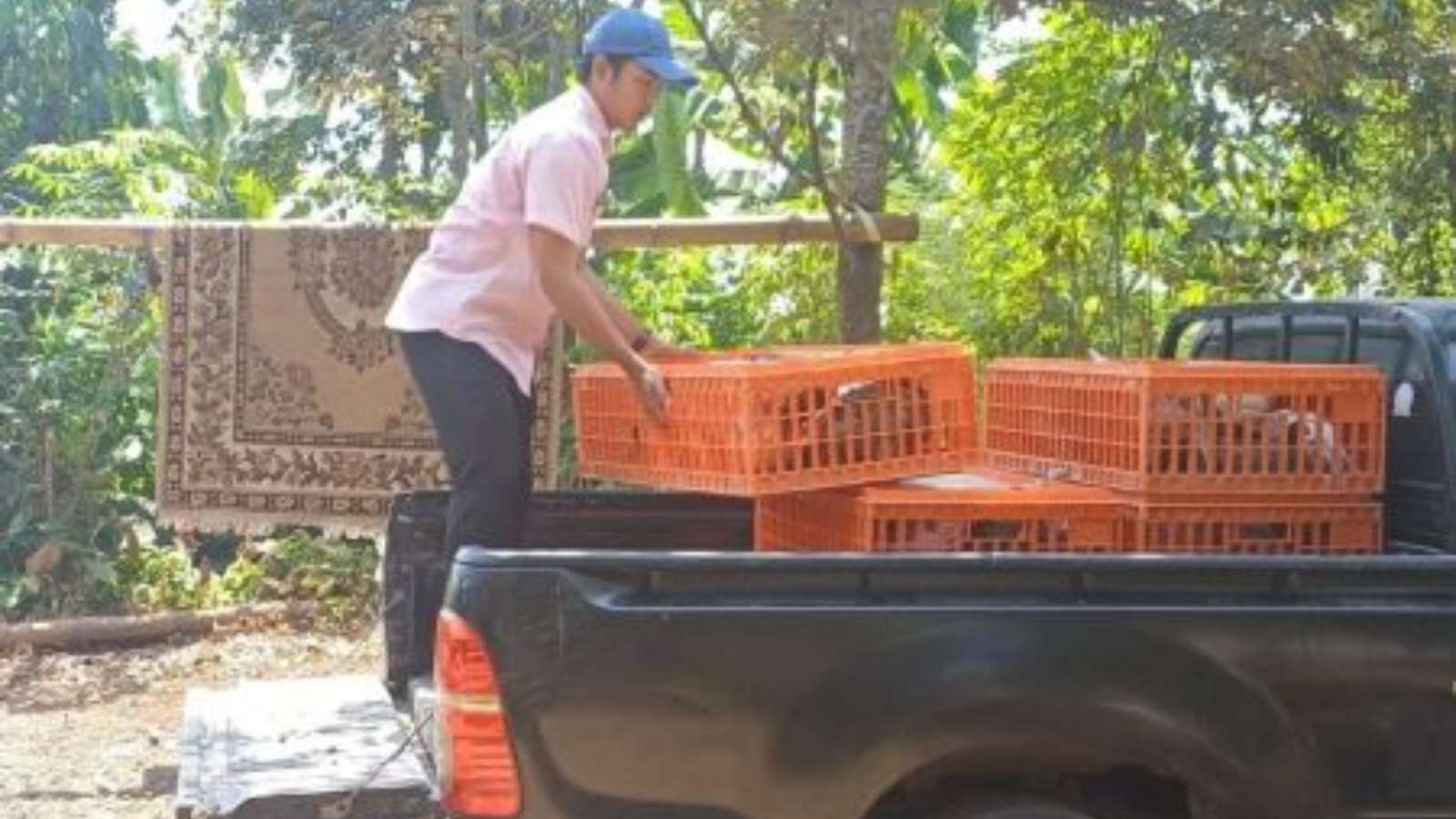 To Strengthen Food Security and Livestock Independence, the West Java Provincial Government Distributes Aid to West Java Province