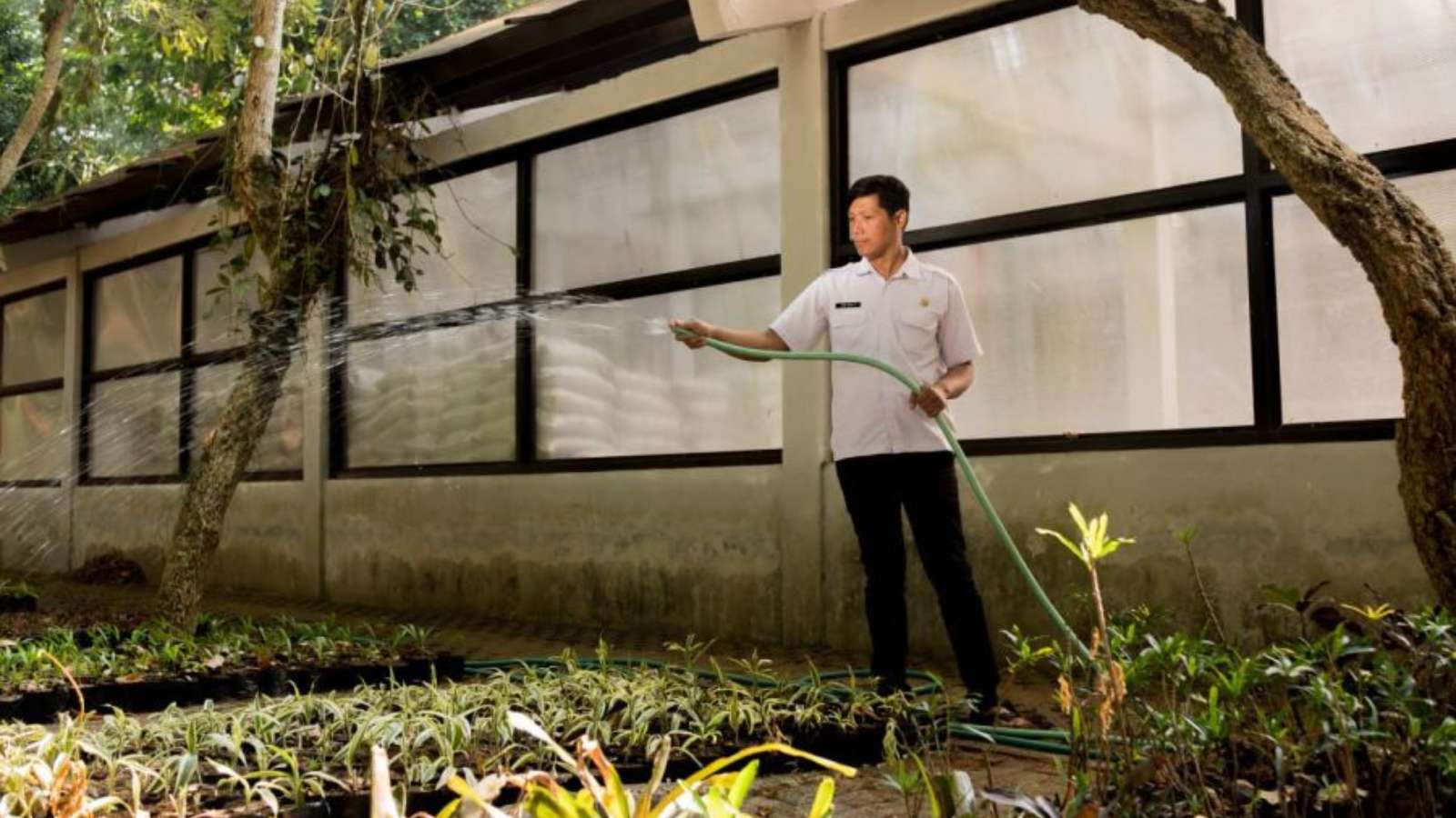 To Keep the City Green, the Bandung City Government Independently Produces Plant Seeds
