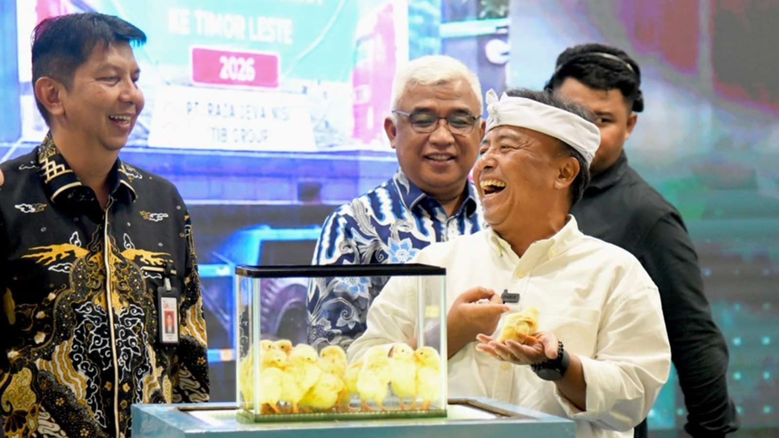 Sekda Herman Dorong Peternak Ayam Petelur di Jabar Naik Kelas 