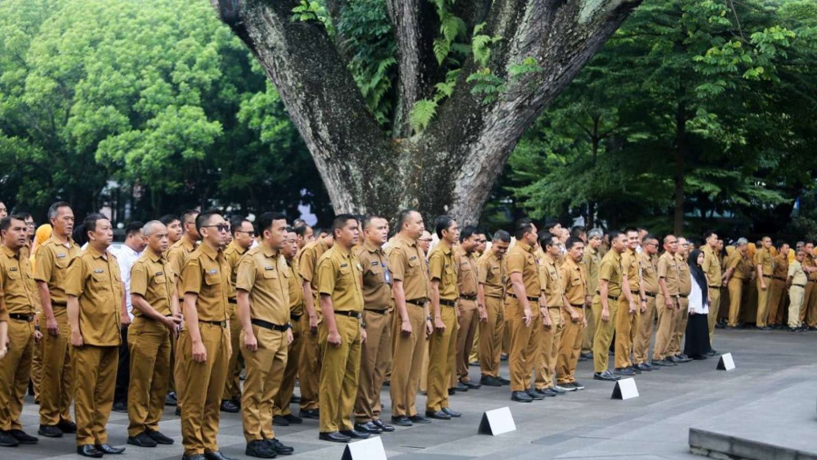 Civil servants must respond quickly to citizen complaints and strengthen public services.