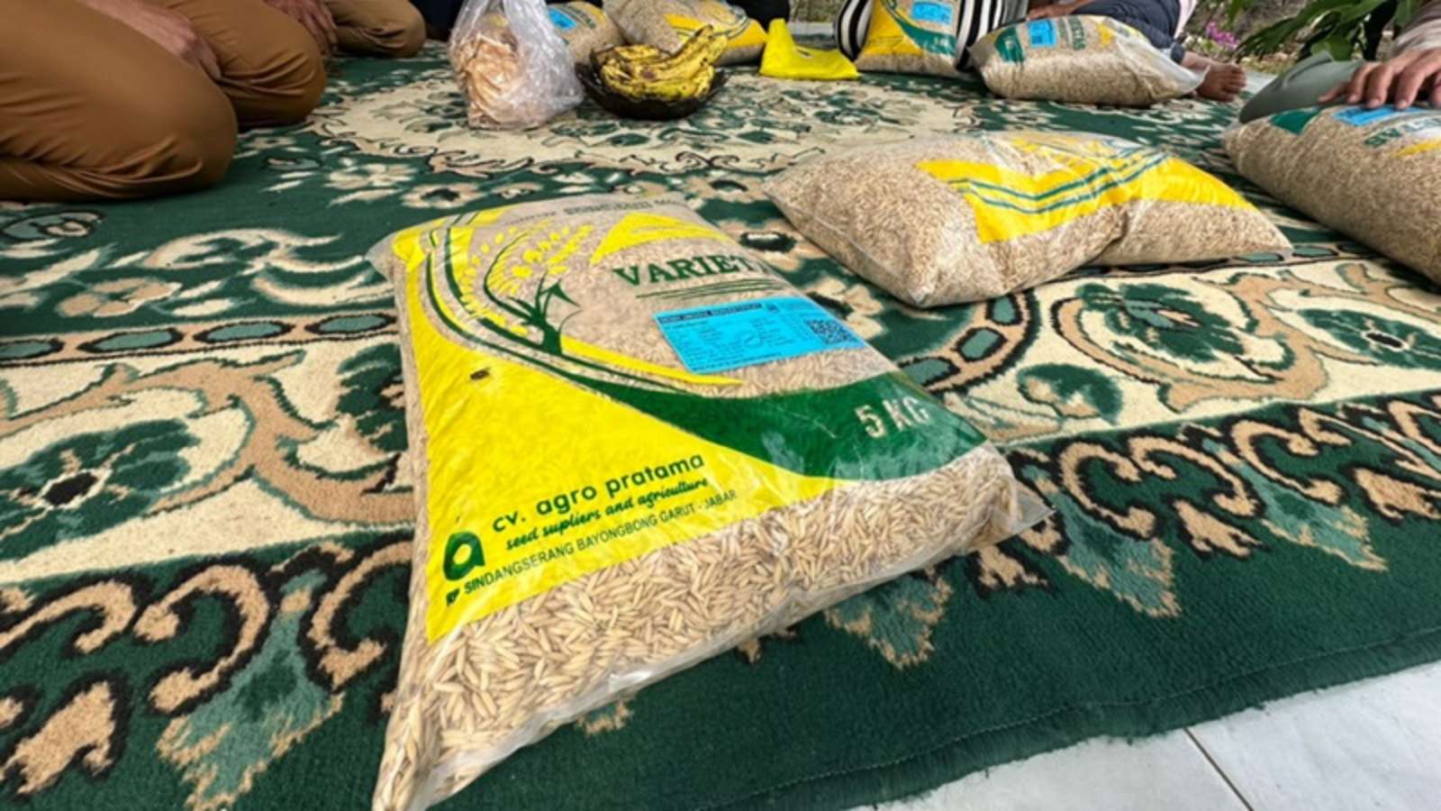 The Garut Agriculture Service Distributes Rice Seed Assistance to Bayongbong Farmers 