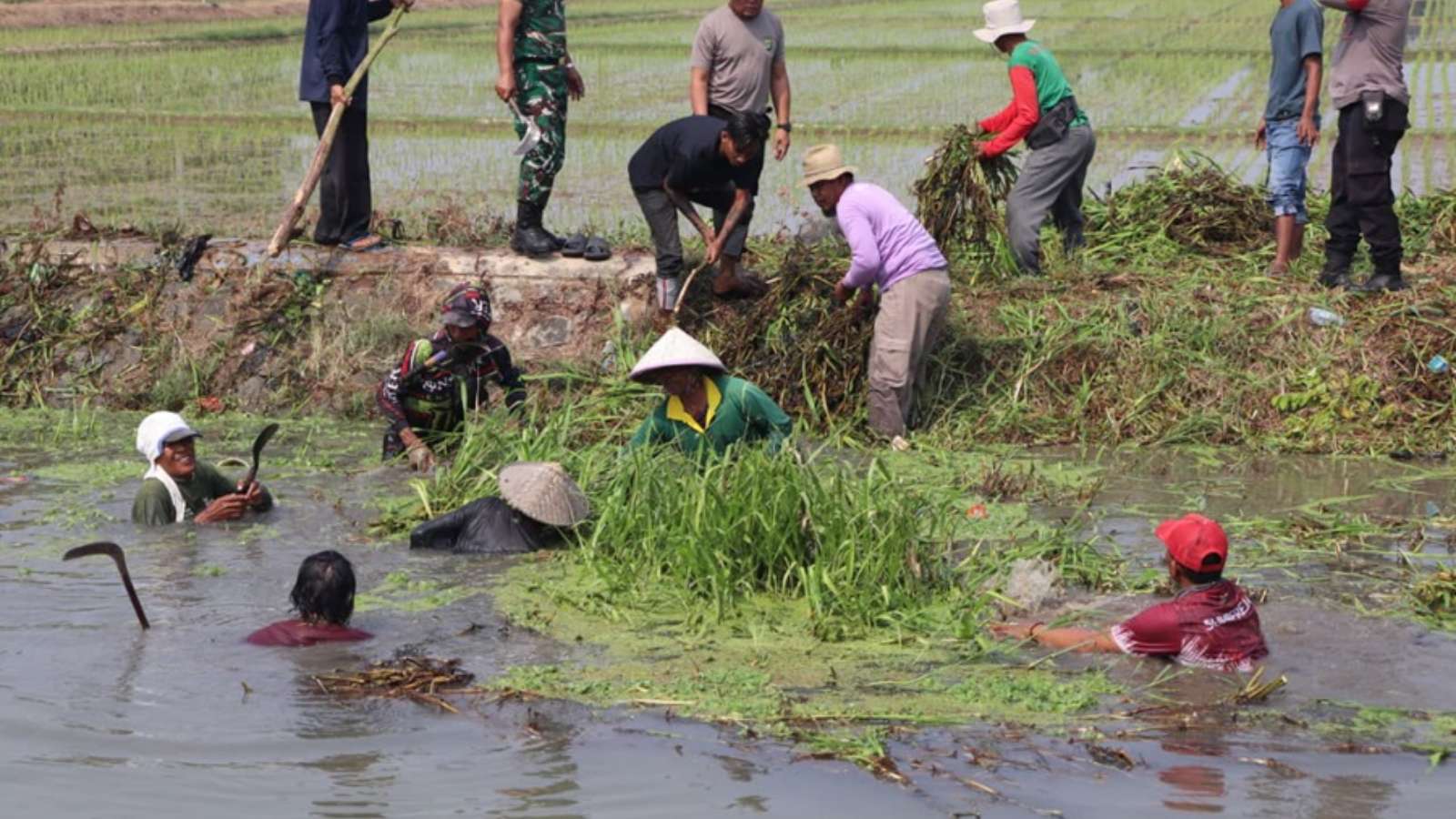 The Bekasi Regency Government Commends PT Jababeka Infrastruktur for Helping Farmers Maintain Smooth Irrigation Channels 
